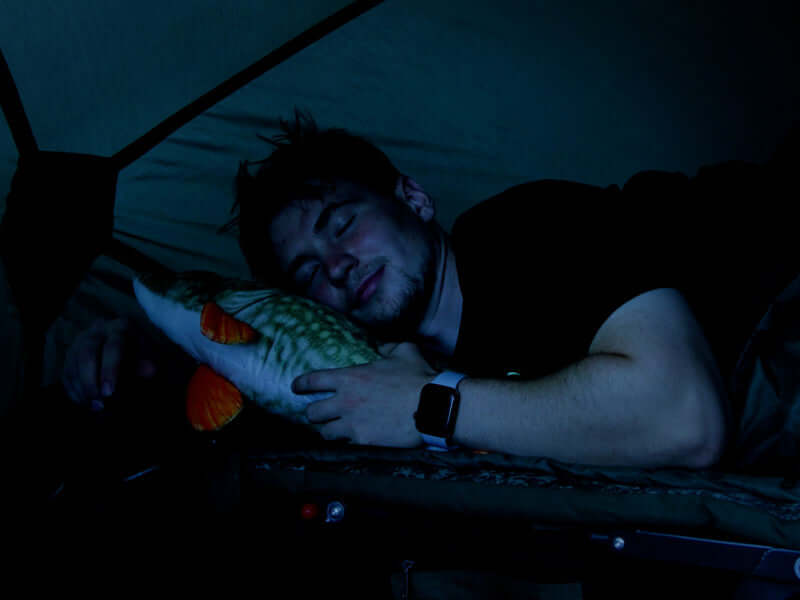 DELPHIN Plüschhecht Piky 60cm