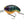 DAIWA Prorex Chibi Fuku 1 Crankbait Wobbler