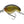 DAIWA Prorex Chibi Fuku 1 Crankbait Wobbler