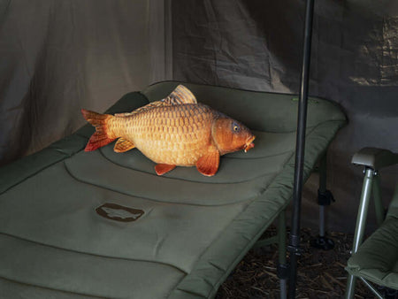 DELPHIN Plüschkarpfen Carpy 60cm
