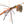 Larve Mayfly Micro Spinner 5cm 4g