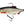 WESTIN Ricky the Roach Shadtail R `N R 14cm 56G Gummiköder