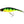 WESTIN Platypus Crankbait 16cm 56G Wobbler