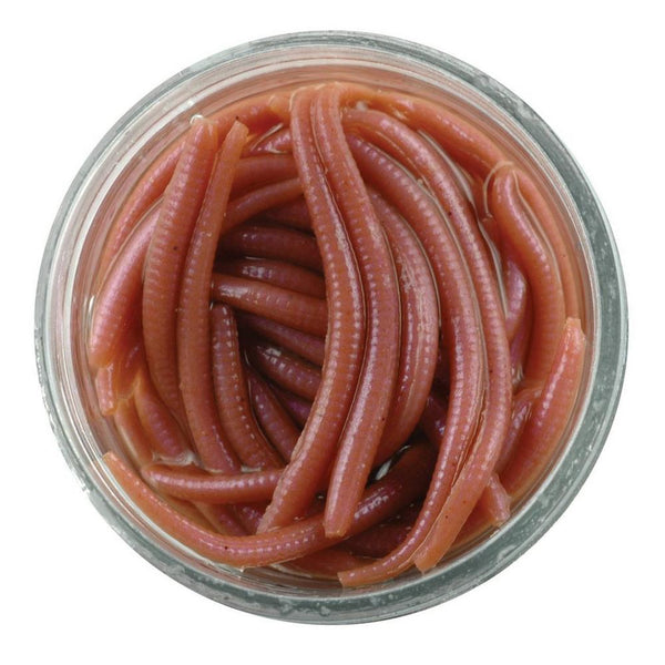 Berkley Künstliche Würmer